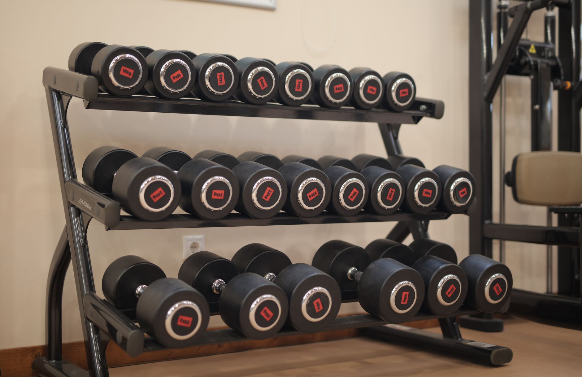 Hala s volnými váhami – MíšaV Fitness